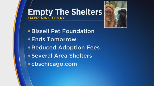 empty-the-shelters-chicago.jpg 