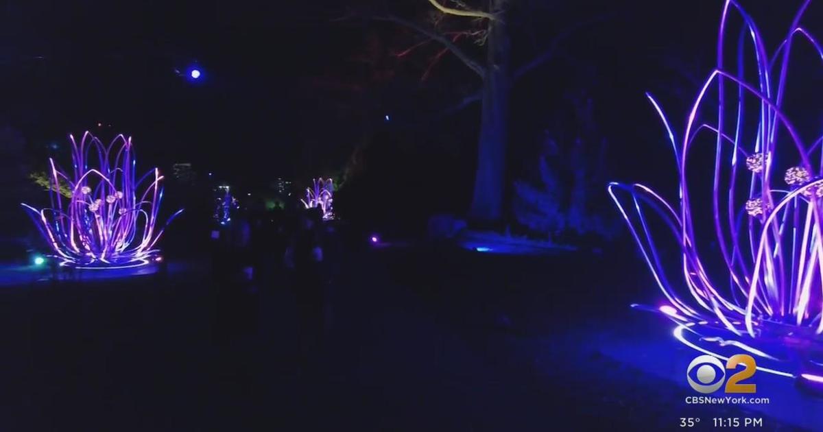 Brooklyn Botanic Garden's Lightscape show returns for the holidays ...