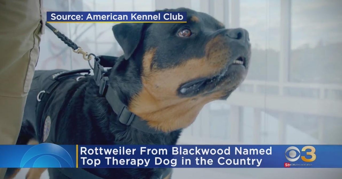 GRIFFONS Playground Kj 降谷建志 Rottweiler maxresdefault.jpg