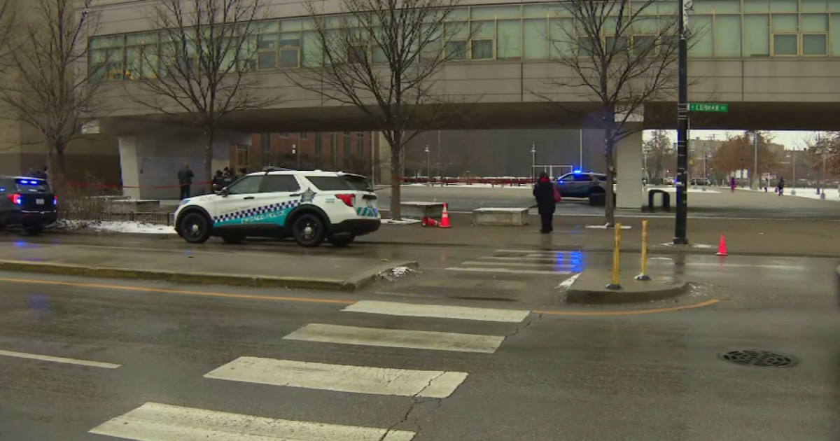 2 Teens Killed, 2 Wounded In Shooting Near Chicago High School; No ...