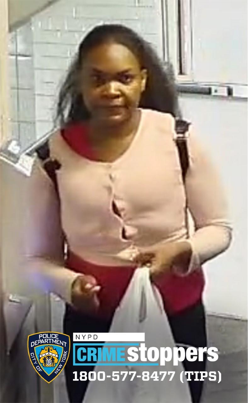 Woman stabbed to death at Project Renewal shelter in Manhattan - CBS ...