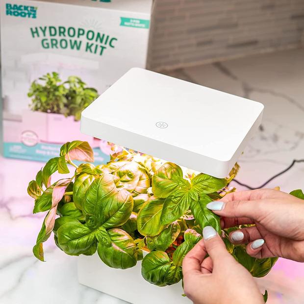 Back to the Roots Hydroponic Grow Kit 