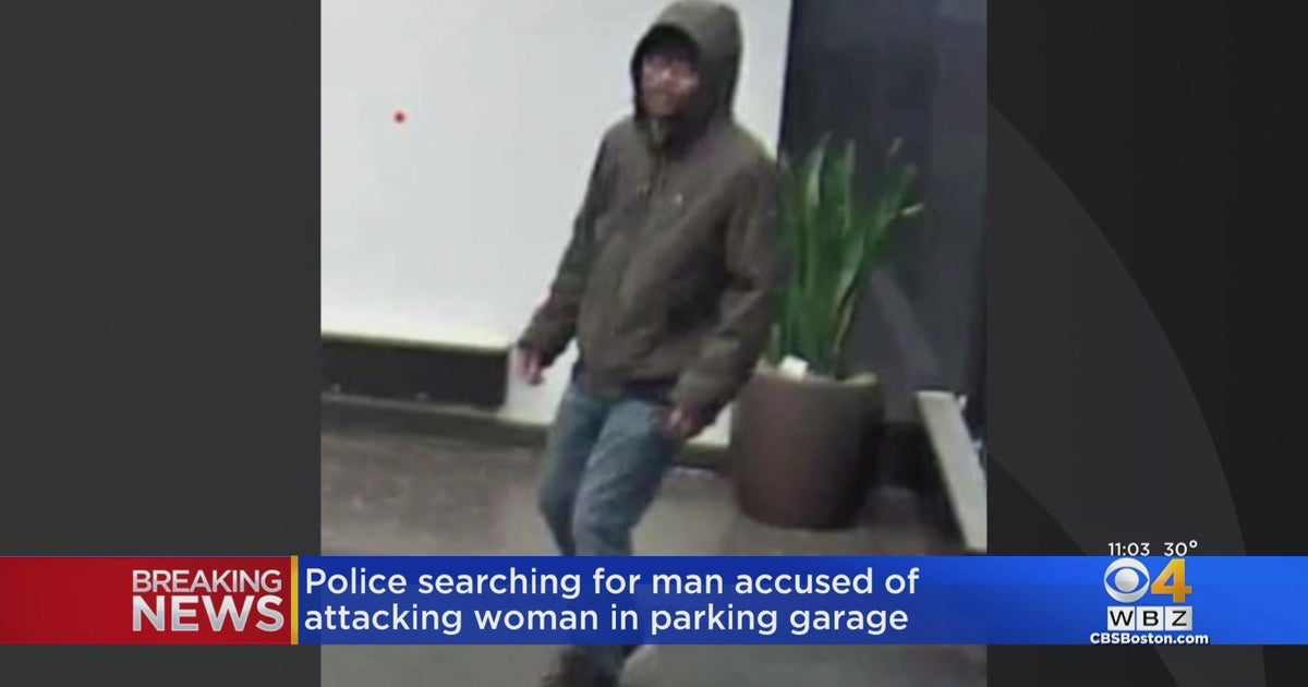 Police search for man who allegedly attacked woman in parking garage