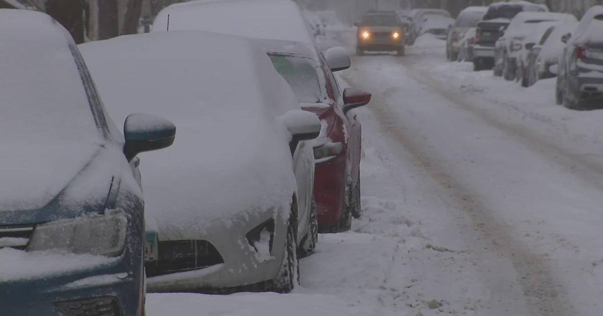Illinois Winter Storm Warning: Idot Issues No Travel Advisory For Some Areas
