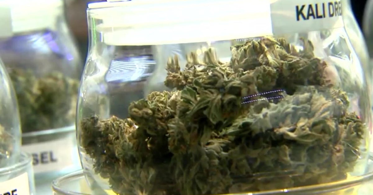 Supporters, critics of Florida’s marijuana amendment proposal speak out in South Florida