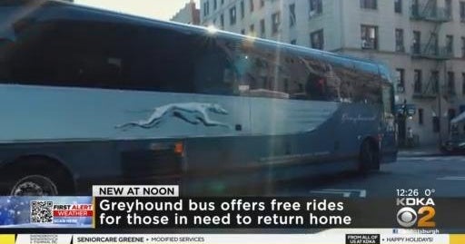 Greyhound bus offers free rides for those in need to return home CBS