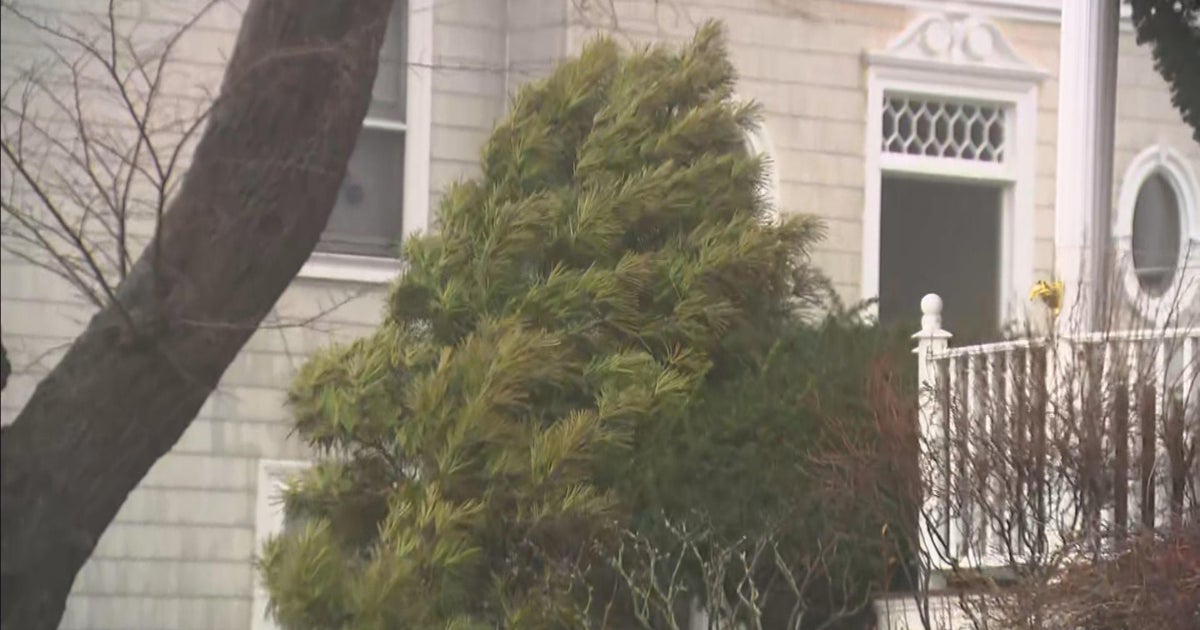 LIST: Top wind gusts recorded in Massachusetts on Friday - Vimarsana News