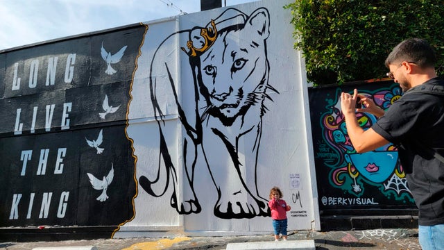 California Mountain Lion Mural 