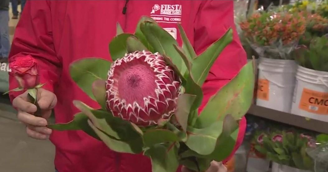 Rose Parade float preparations underway CBS Los Angeles