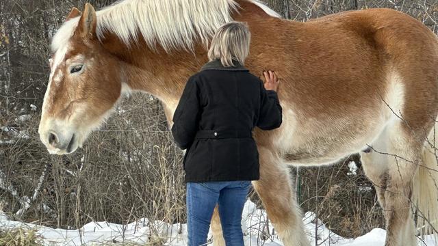 richard-the-horse-and-owner-katie-gerads.jpg 