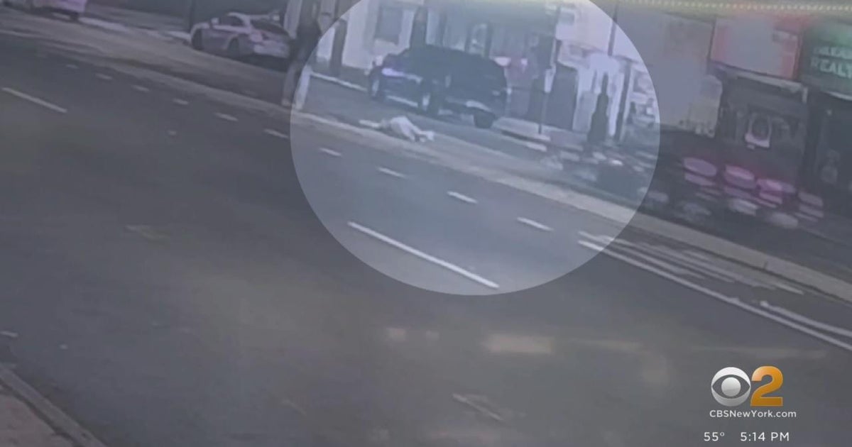 Man fighting for his life after Queens hit-and-run - CBS New York