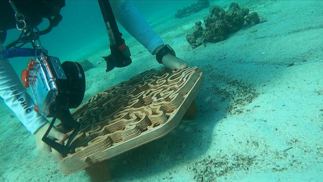 0102-cbsm-coralreef3dprinting-inocencio-1590614-640x360.jpg