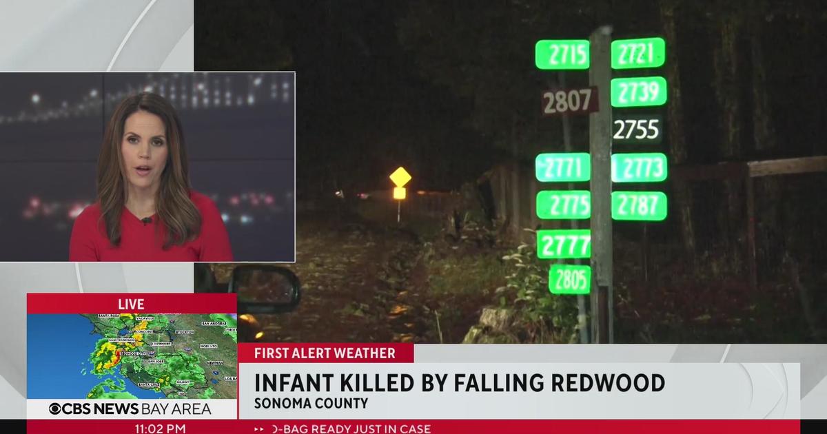 Atmospheric River: Falling redwood kills infant in Sonoma County