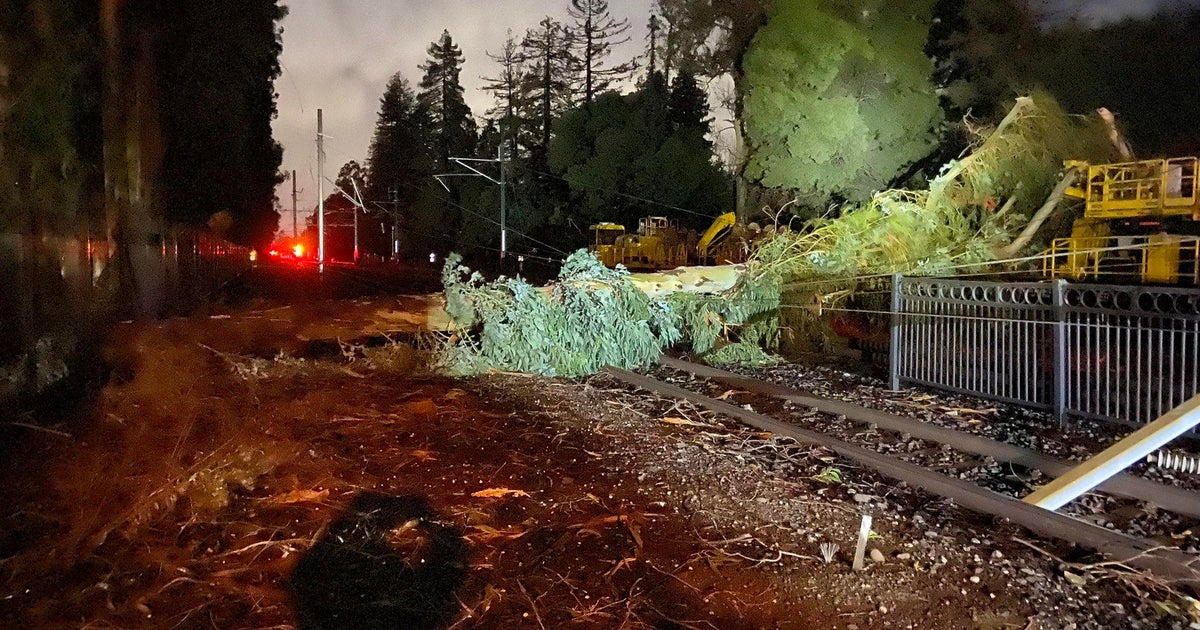 Update Caltrain service restored after crews remove fallen tree in