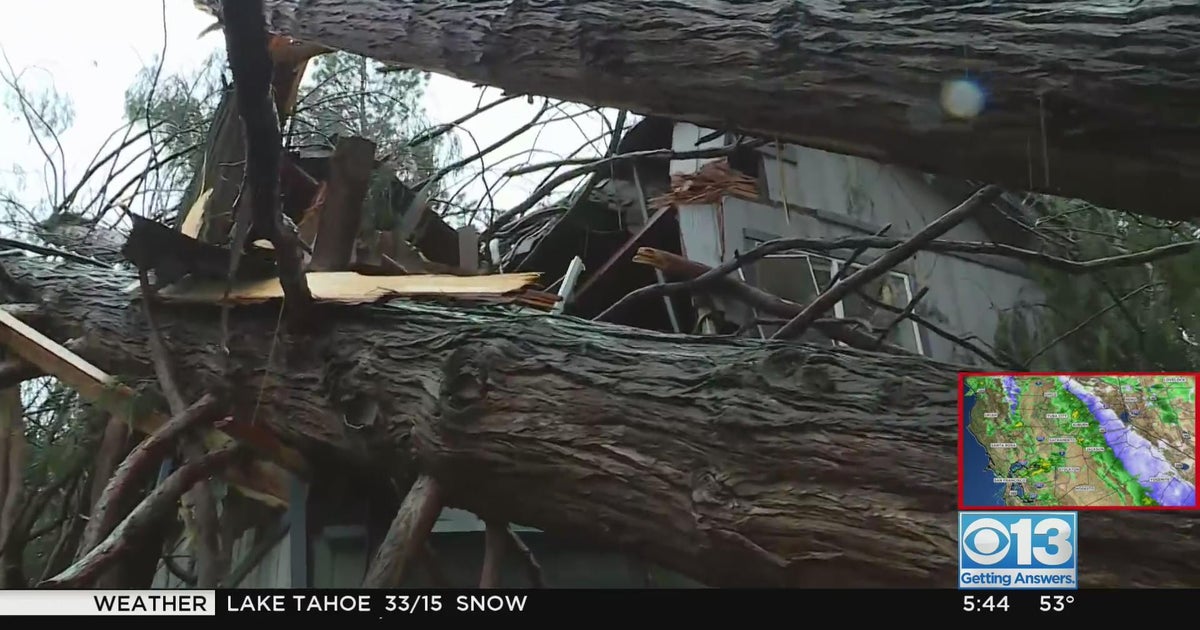 Tree crashes into Placerville bedroom