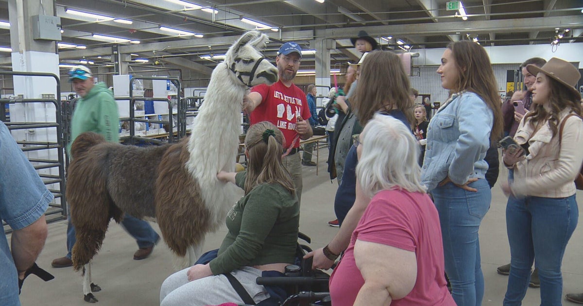 Colorado's National Western Stock Show returns - Vimarsana News