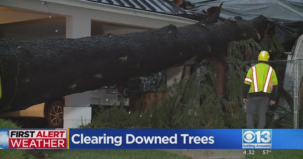 Tree clean-up continues in Sacramento