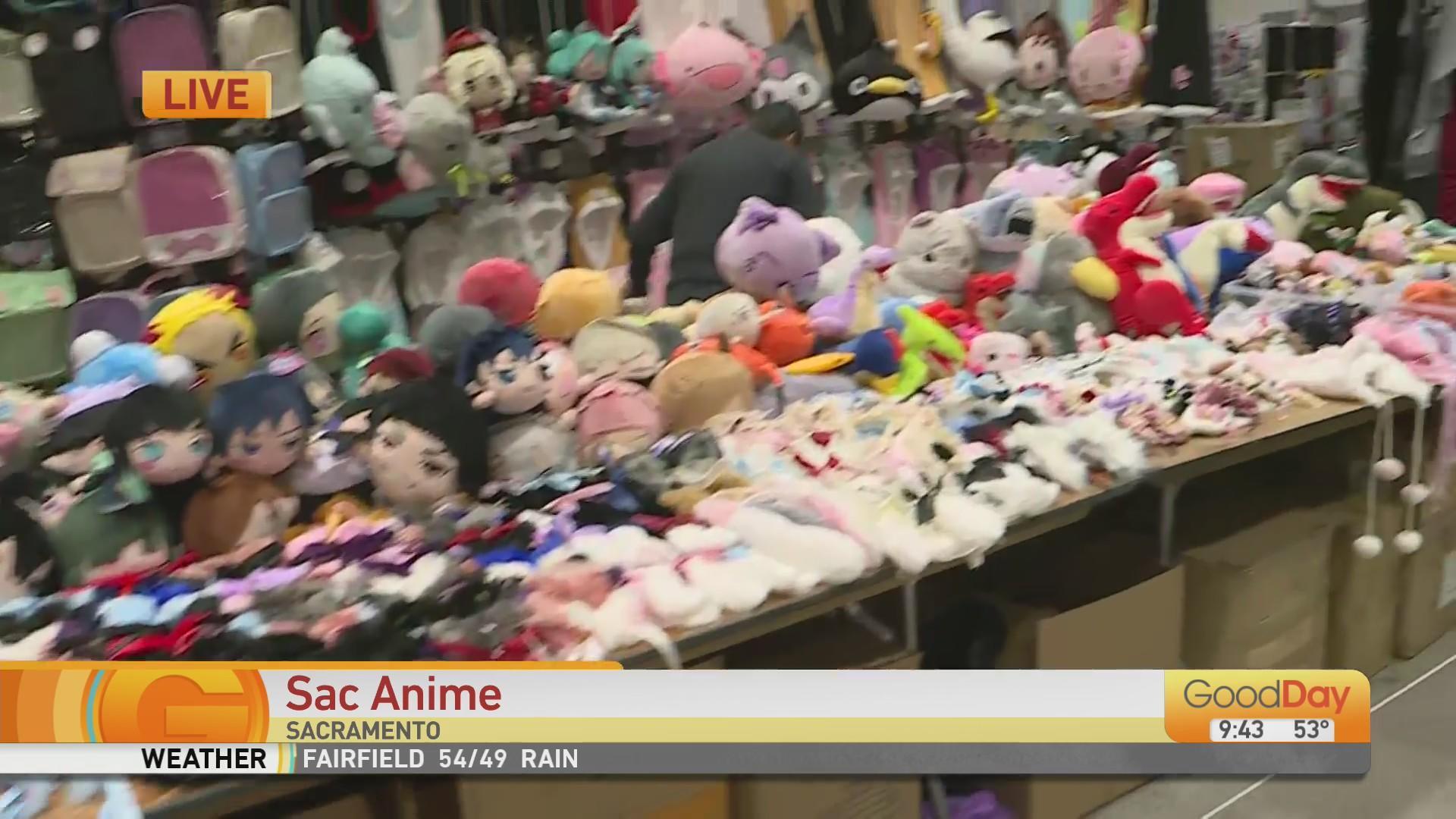 Fresno's Largest Anime and Gaming Convention Returned Bigger than Before –  The Rampage Online