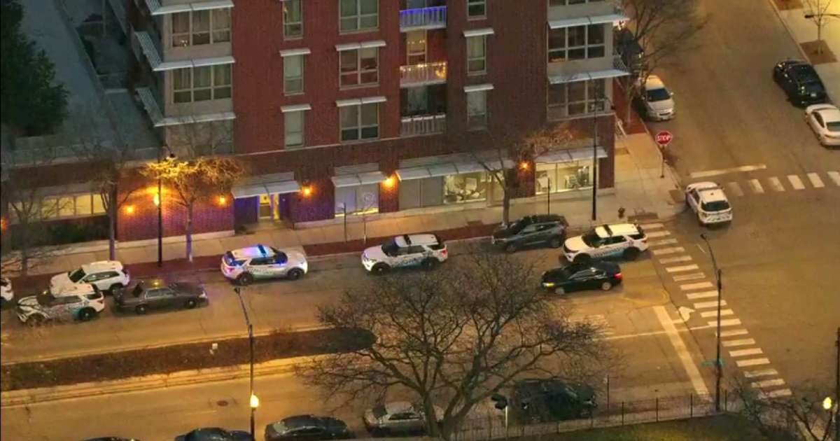 Two found shot to death in South Loop home CBS Chicago