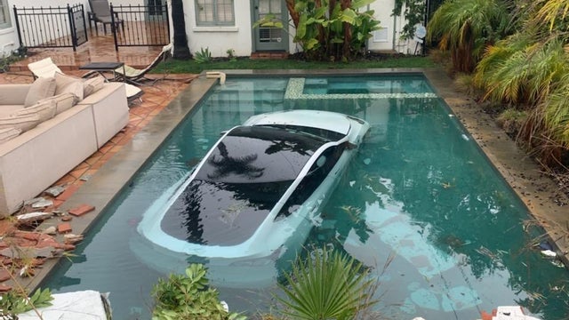 tesla-in-pool.jpg 