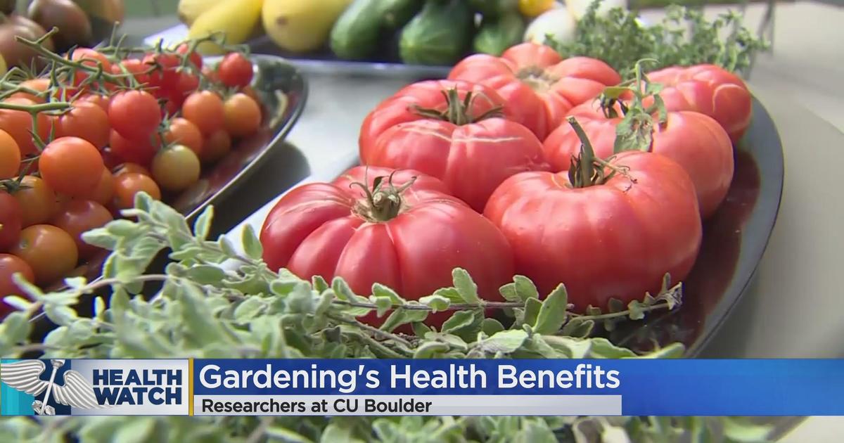 Why CU researchers say gardening could have a positive impact on your health