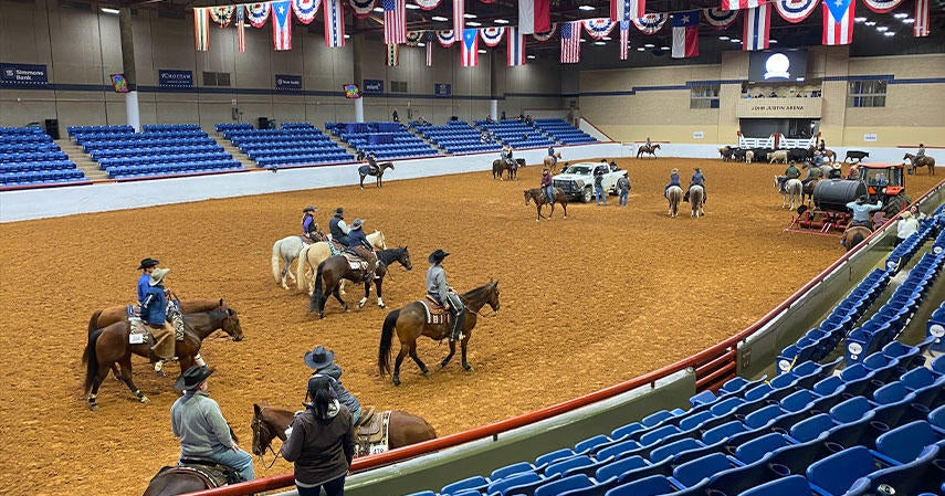 From livestock shows to fine dining: The Fort Worth Stock Show & Rodeo returns this weekend - Vimarsana News