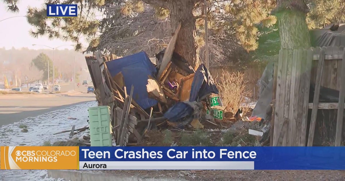 Police say 13-year-old driver crashed through fence; homeowner says 2 ...