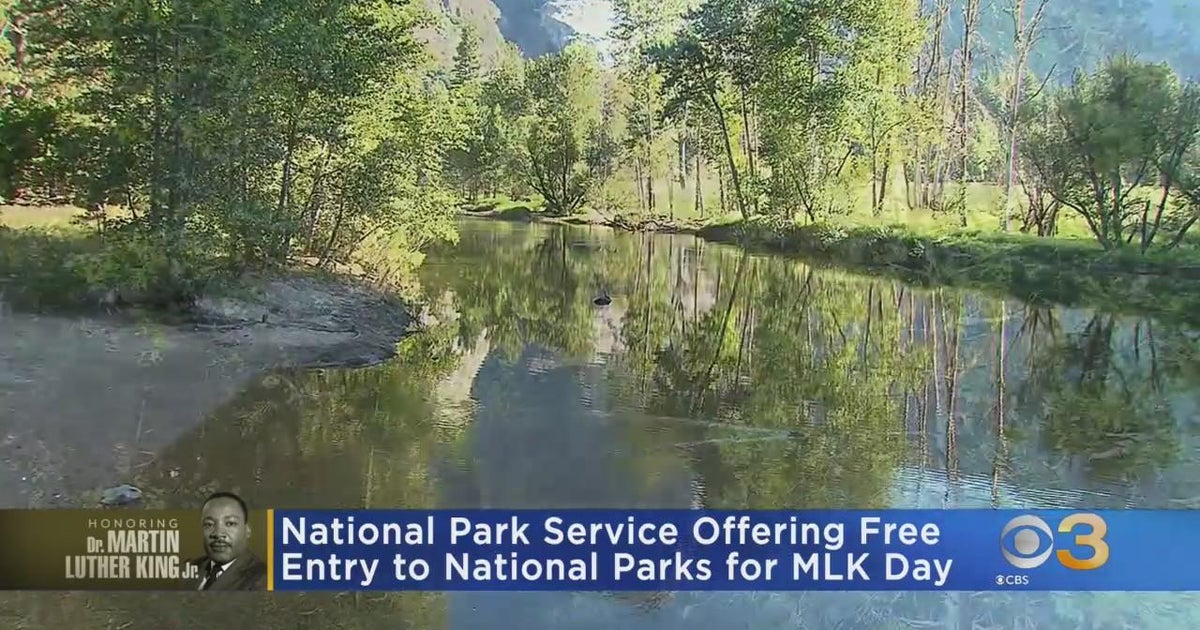 NATIONAL PARKS FREE DAYS MLK visual data 8