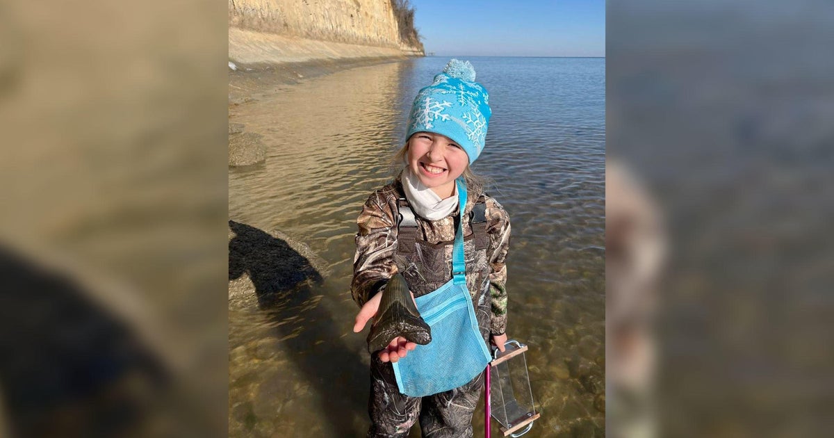 9-year old Maryland girl discovers 'once-in-a-lifetime' megalodon tooth - Vimarsana News