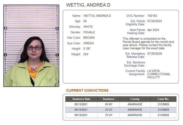auto-theft-ring-andrea-wettig-doc-profile.jpg