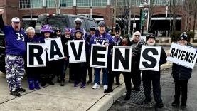 ravens.jpg 