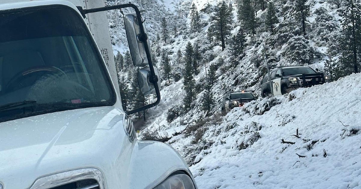 Easy Ways to Make Taco Bell Sauce Packets Last 2024 AtOnce