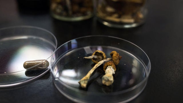 Operations At The Numinus Research Facility 