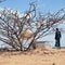 Drought and terrorism grip desolate Somalia