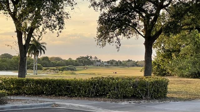 Parkland 17 Memorial Foundation 