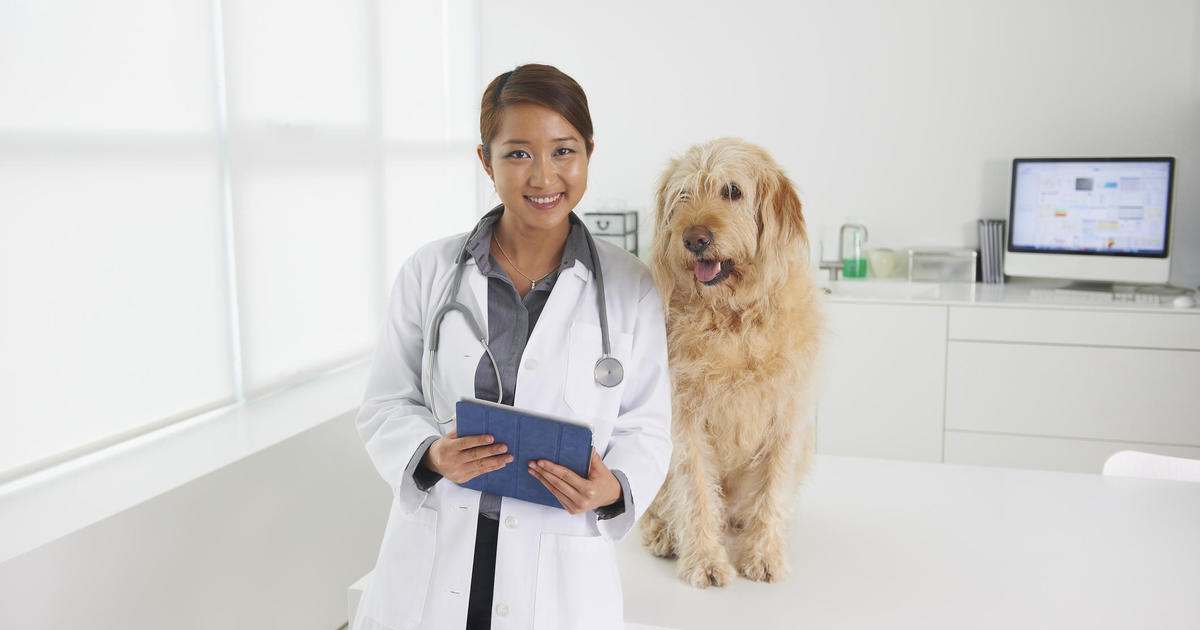 ManyPets pet insurance review 2023