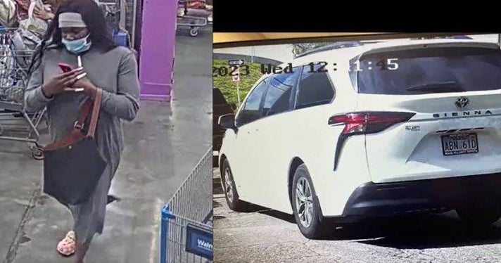 Human being of interest sought in theft of purse from parked car or truck at cemetery