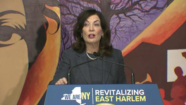 Gov. Kathy Hochul stands at a podium in front of a mural. 