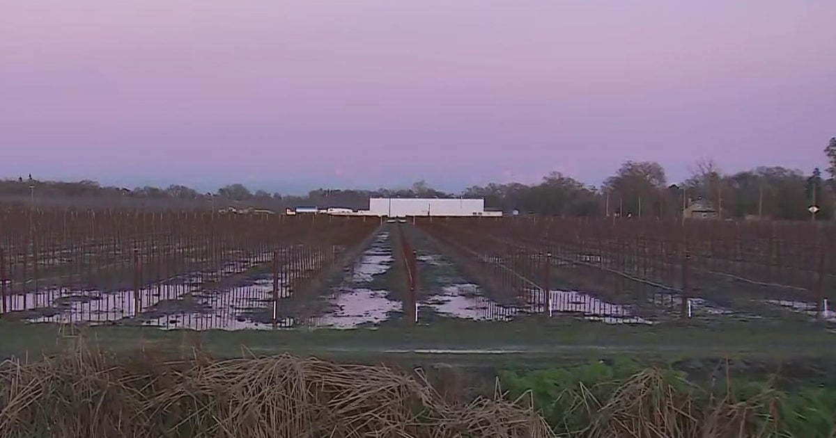 Valley vineyards reaping benefits from string of atmospheric rivers