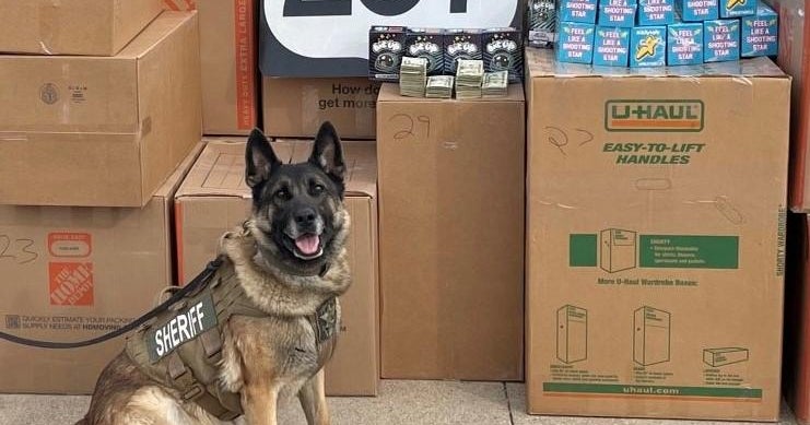 Texas K-9 sniffs out estimated $1.7 million worth of marijuana, mushroom-laced candy bars in traffic stop, deputies say