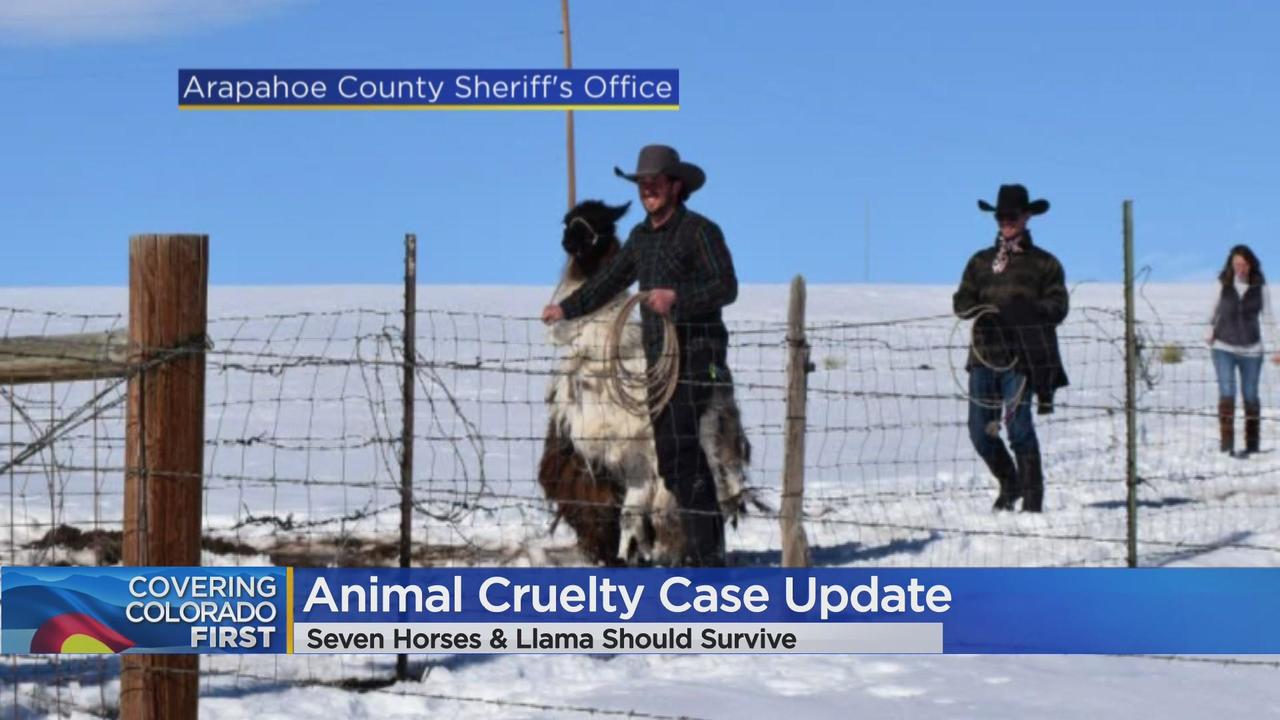 Arapahoe County sheriff identifies suspect in animal cruelty case - CBS  Colorado