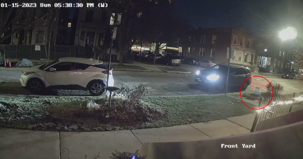 1st Ward Resident's Campaign Sign Taken Away - Cbs Chicago