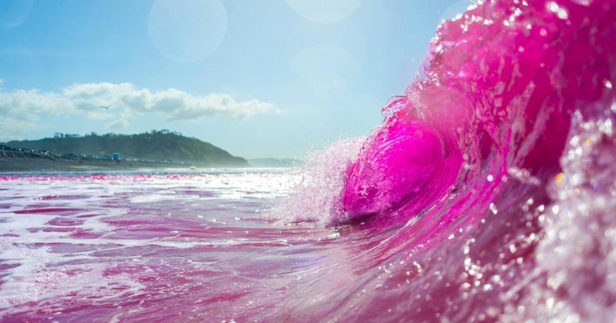 Some of San Diego's waves turned bright pink. Here's why. - CBS News