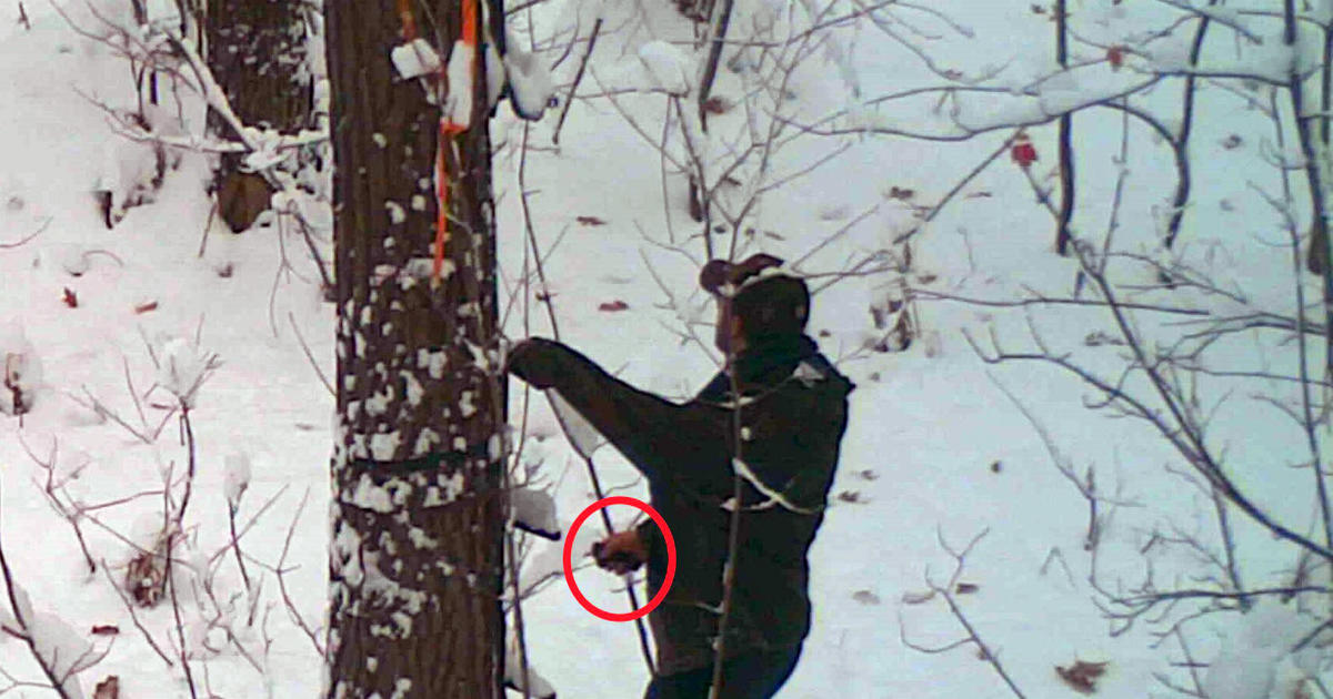 Washtenaw County man sentenced for sabotaging hunter’s UP tree stand