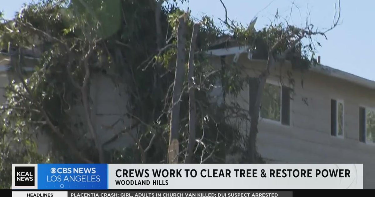 Massive tree falls onto Woodland Hills duplex; causes power outage ...
