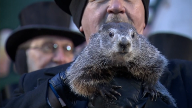 groundhog.png 