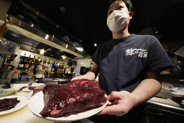 Japan Whale Meat 