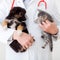 Nationwide to drop about 100,000 pet insurance policies