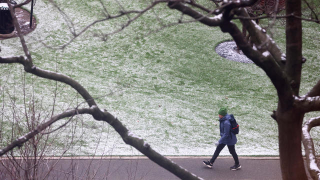 A person walks through a park following the first measurable snowfall of the season, in New York City 