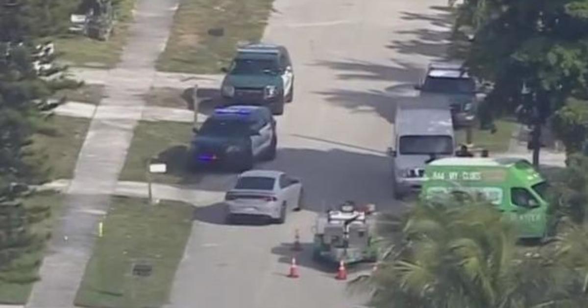 2 hurt in Pompano Beach for the duration of attack by pit bull, Broward sheriffs workplace claims